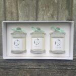 Trio of Soy Candles